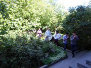 Համբարձման տոն